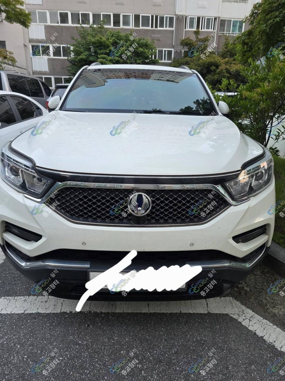 G4렉스턴 4WD 유라시아에디션 (중고장터 - 비낚시용품)