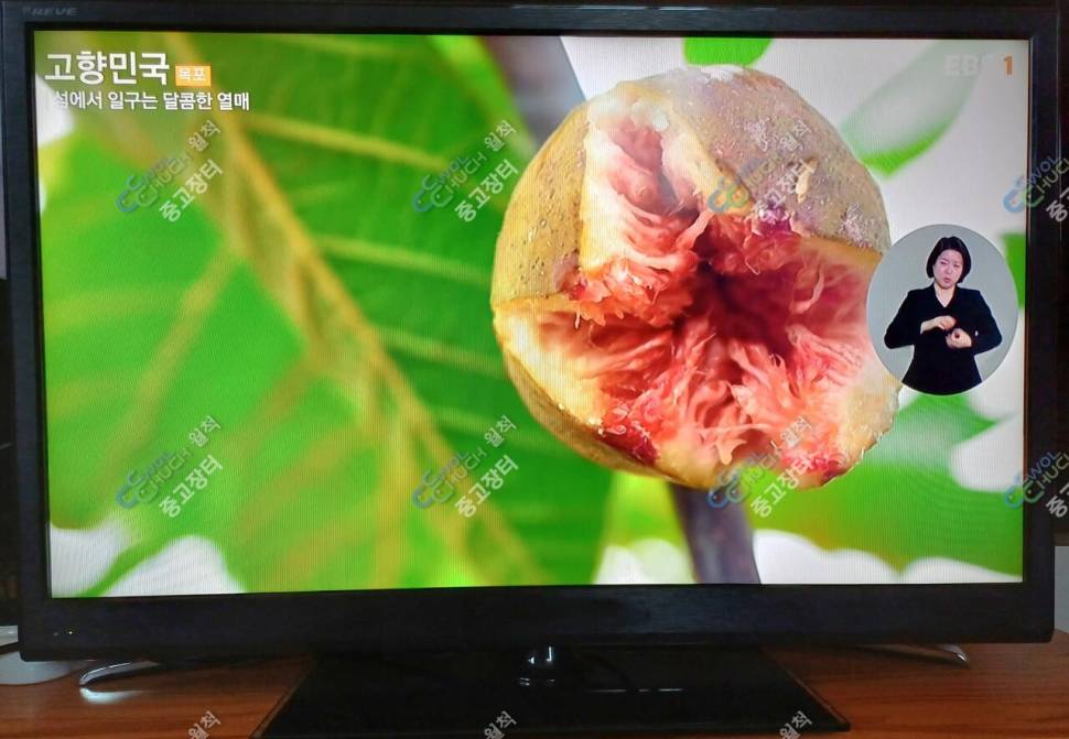 낙시캠핑난로32LED모니터TV야전침대PCT히터정리합니다 (중고장터 - 비낚시용품)