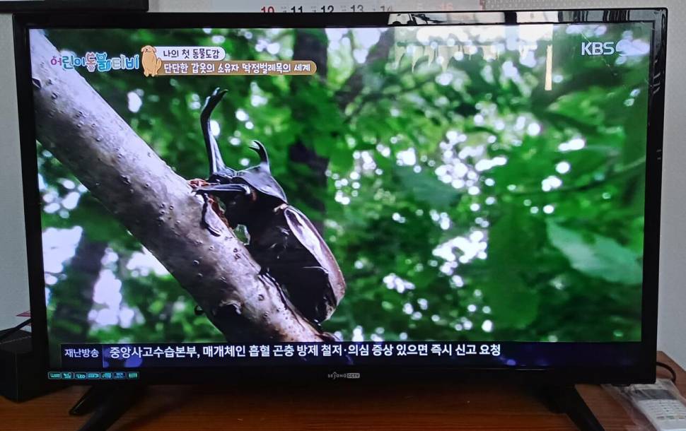 LED32인치TV겸모니터60000원입니다 (중고장터 - 비낚시용품)