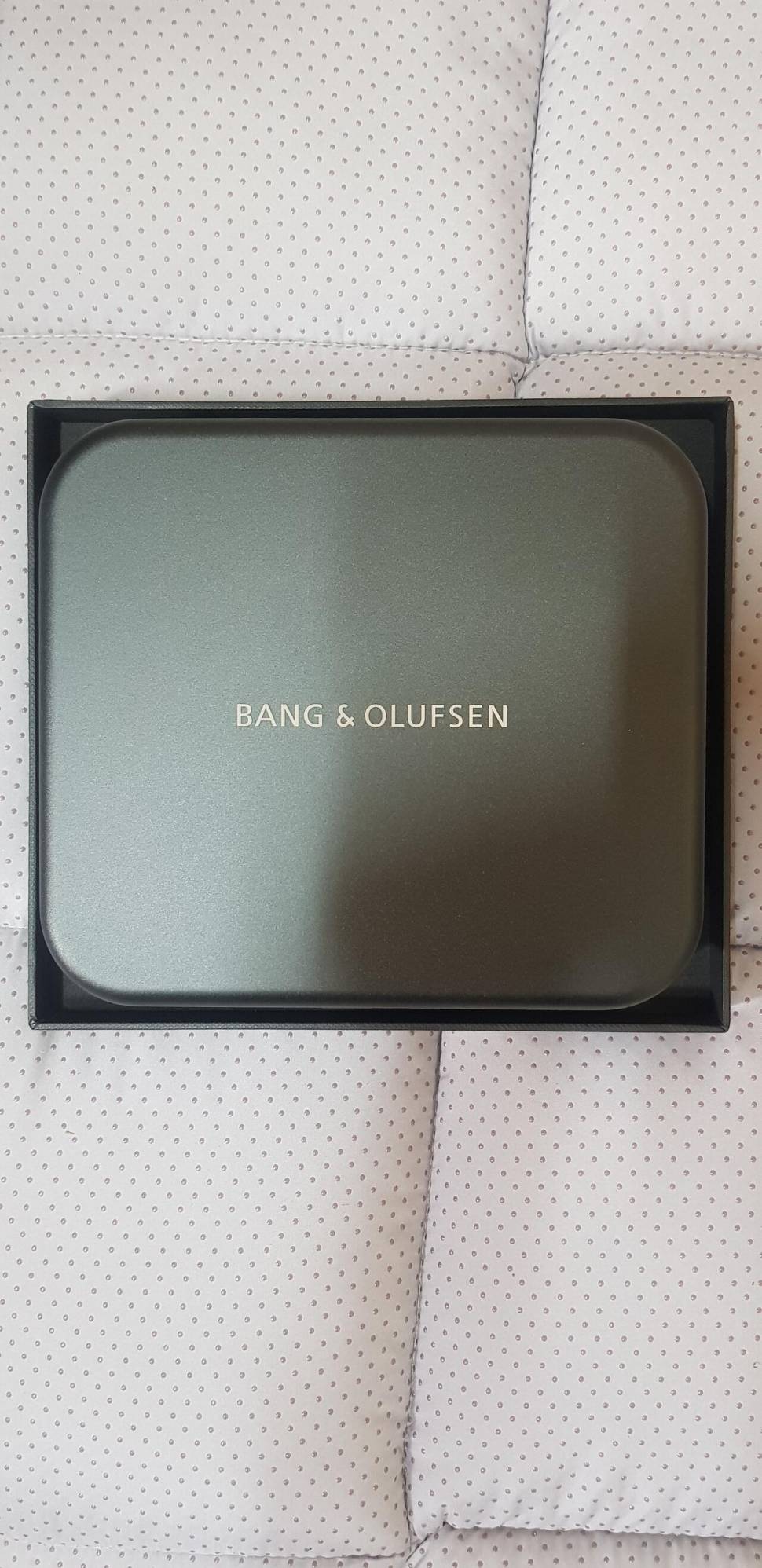 Bang Olufsen Beoplay H95 (중고장터 - 비낚시용품)