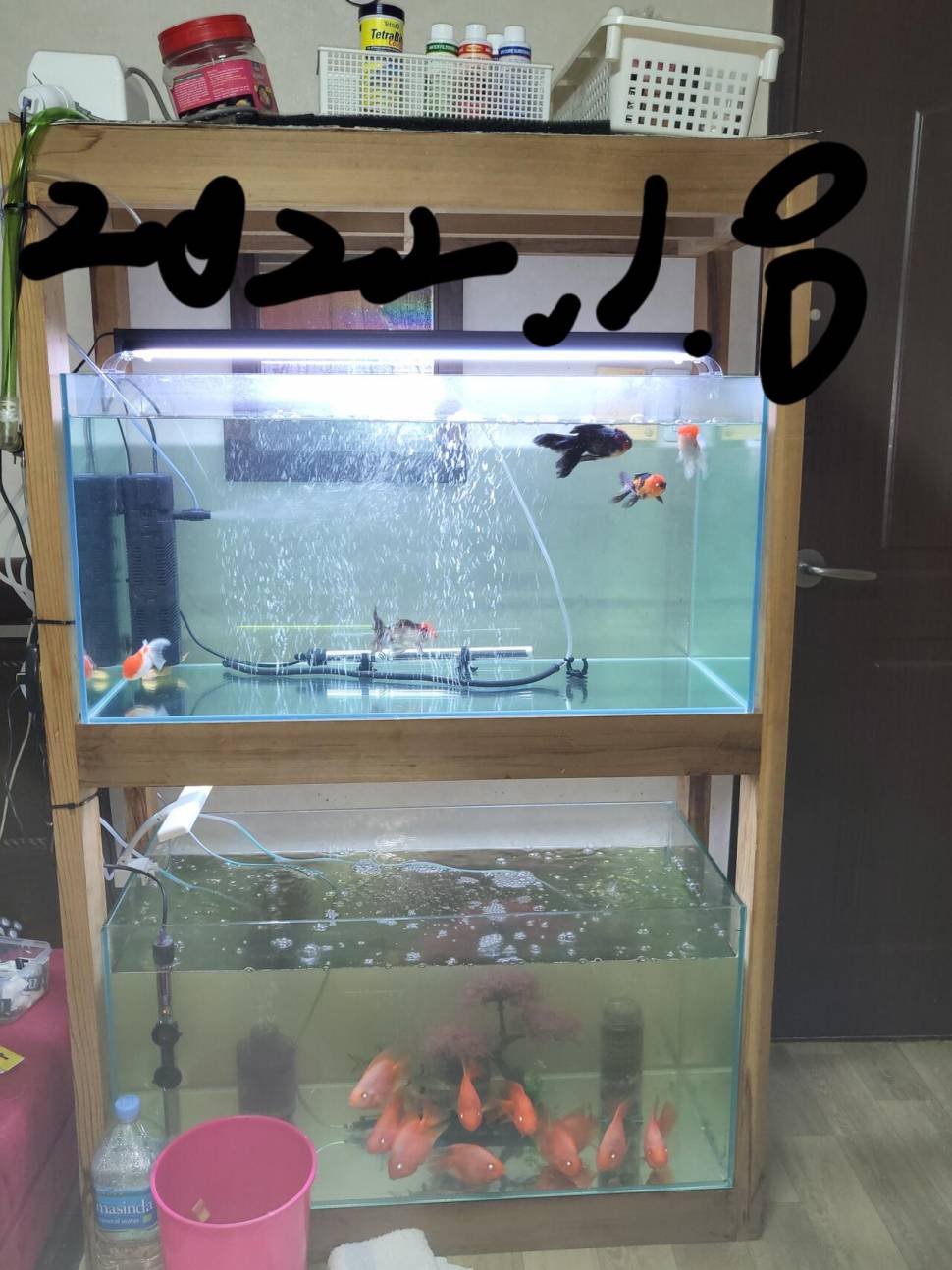 어항셋트 (중고장터 - 비낚시용품)