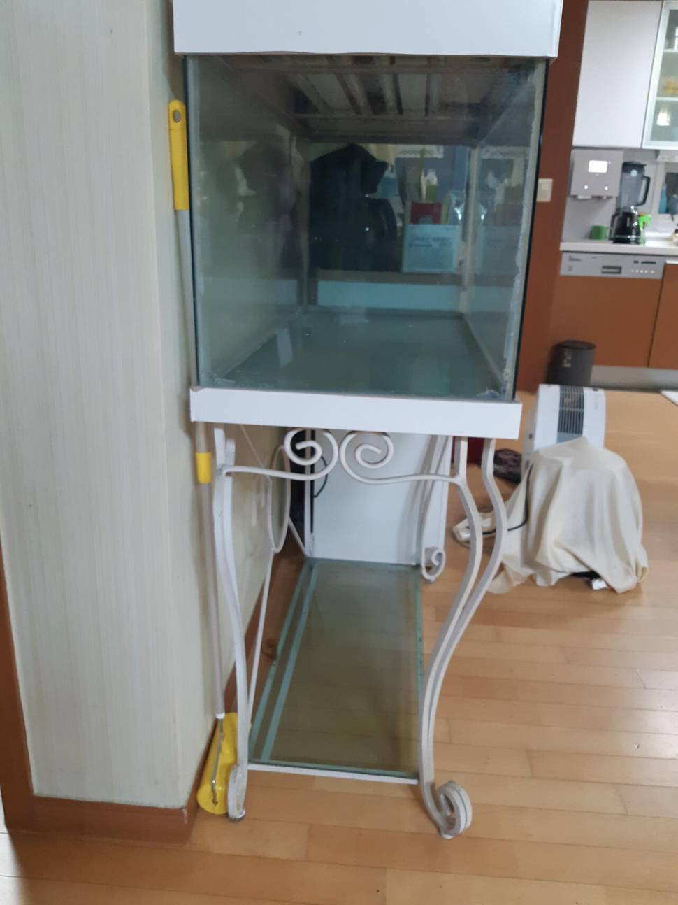 열대어 어항가로 세로 높이 100 44 125 (중고장터 - 비낚시용품)