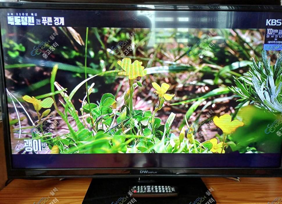 LED4HD42TV와BSW커피메이커정리 (중고장터 - 비낚시용품)