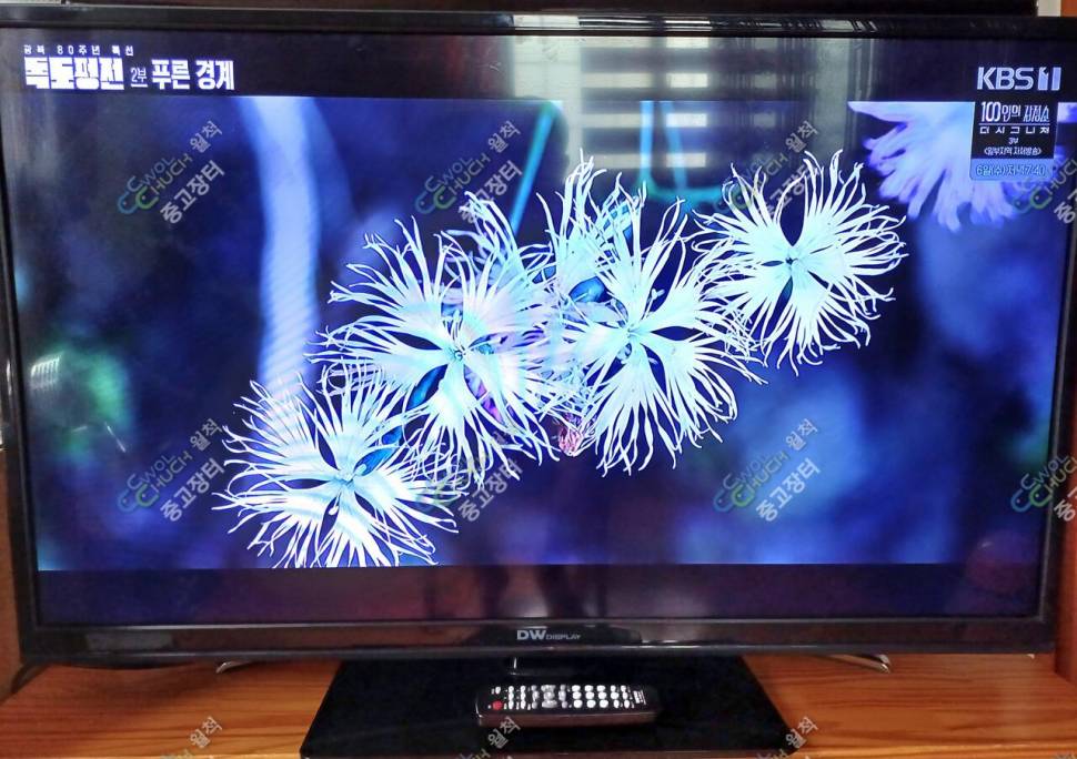 LED4HD42TV와BSW커피메이커정리 (중고장터 - 비낚시용품)