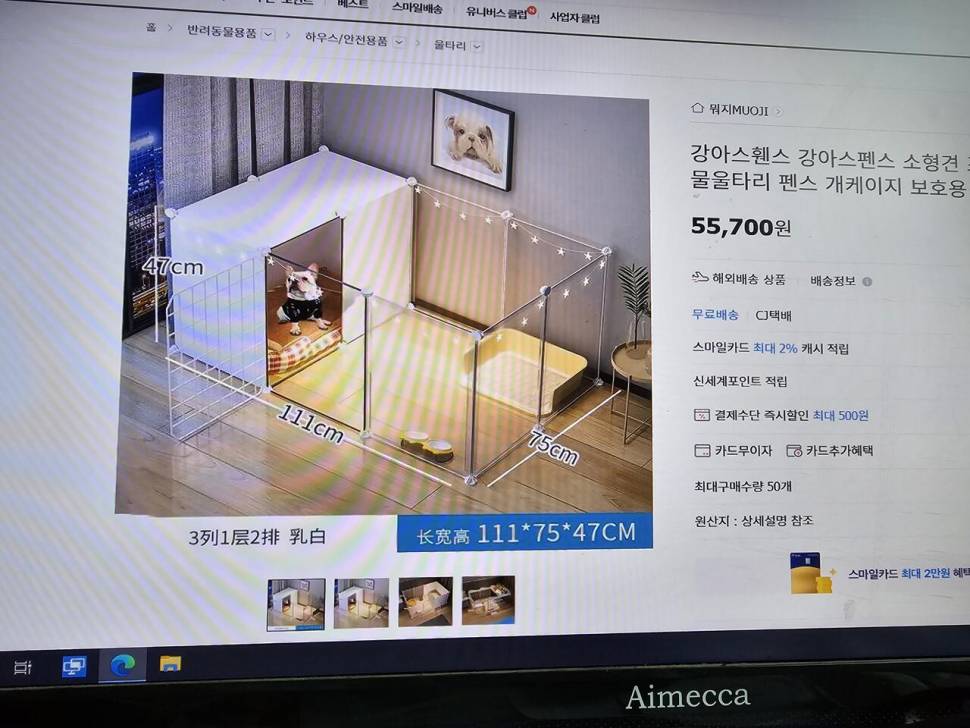 애견용품 여러가지 무분합니다 (중고장터 - 비낚시용품)