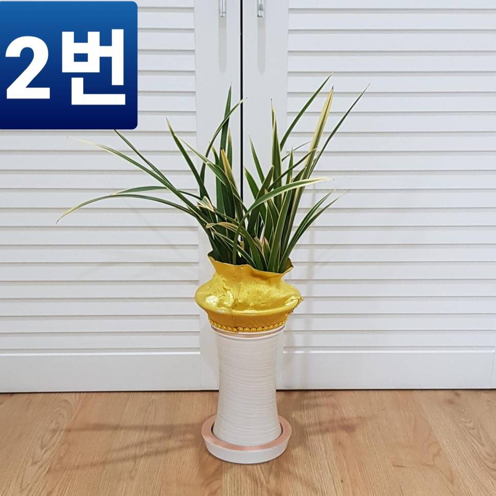 난 화분 3개 판매 대구 직거래만 (중고장터 - 비낚시용품)