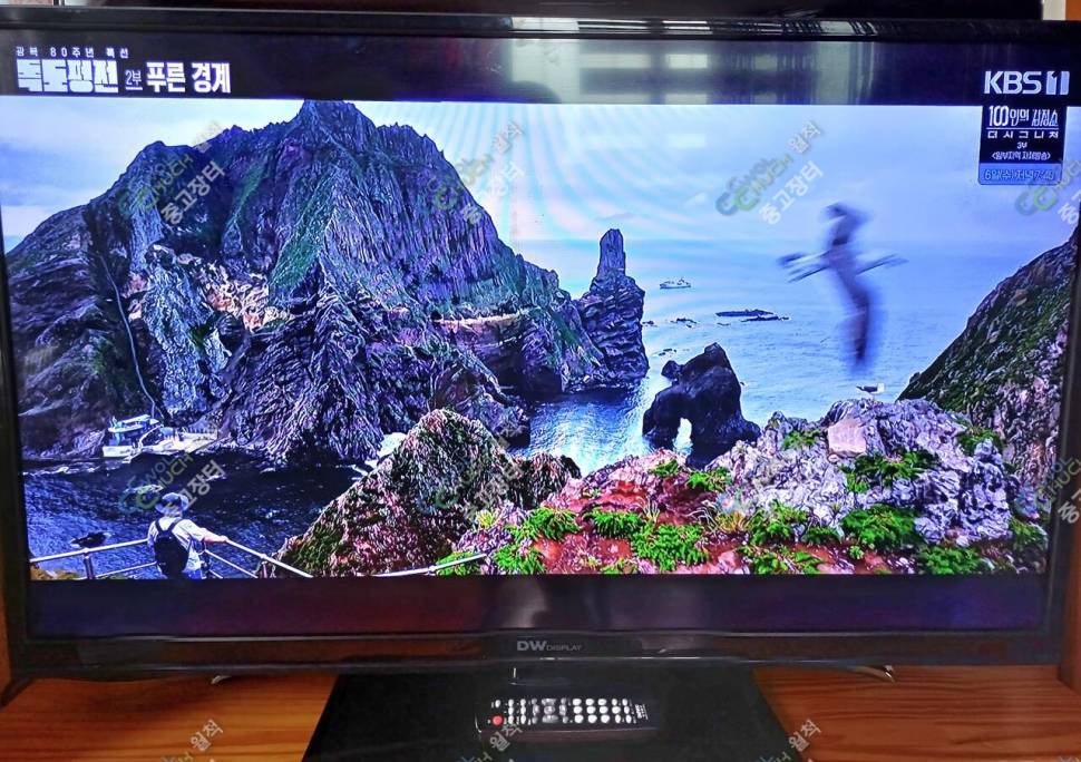 LED4HD42TV와BSW커피메이커정리 (중고장터 - 비낚시용품)