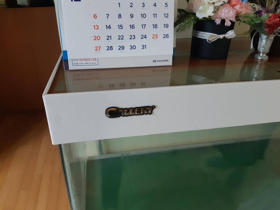 열대어 어항가로 세로 높이 100 44 125 (중고장터 - 비낚시용품)