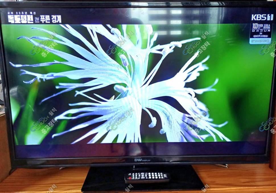 LED4HD42TV와BSW커피메이커정리 (중고장터 - 비낚시용품)