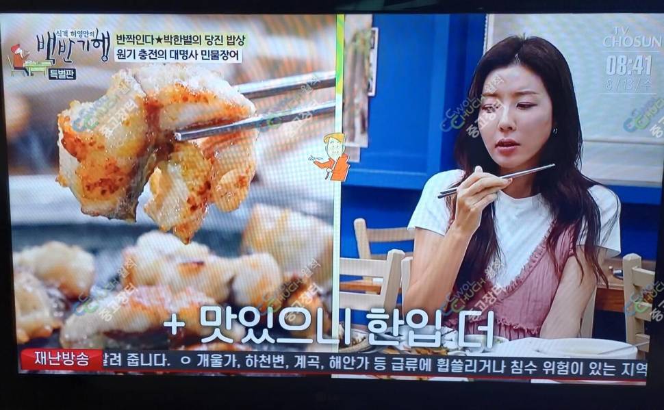 사용않한인텍스도선보트LEDLGTV포티포타 (중고장터 - 비낚시용품)