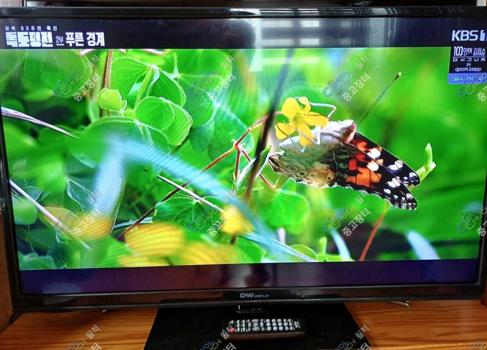 LED4HD42TV와BSW커피메이커정리 (중고장터 - 비낚시용품)