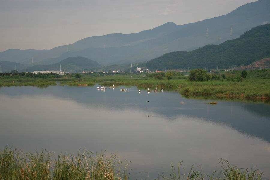 청수레져 마루 발판 사용기 (사용기강좌 - 사용기)