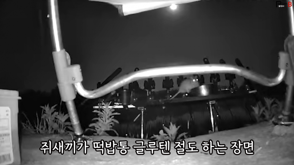 통신사 유심을 활용한 4g 감시카메라 사용기 (사용기강좌 - 사용기)