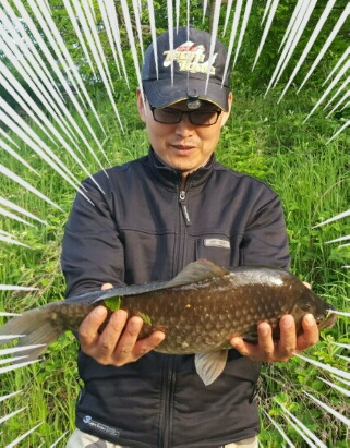 3박 중 단한번의 입질 (조황조행기 - 월척컵토종붕어챔피언십)