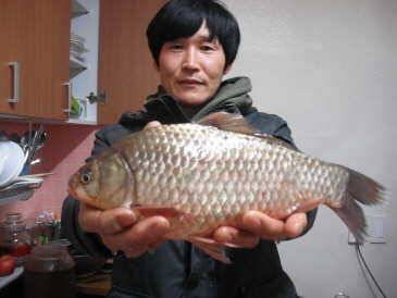 턱걸이 (조황조행기 - 월척컵토종붕어챔피언십)