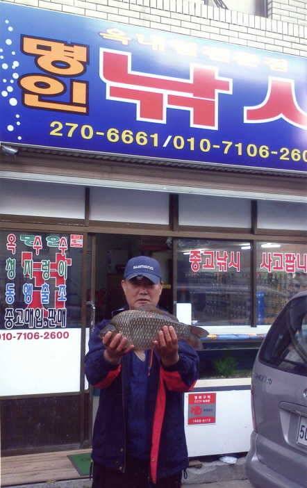 회원들 4짜 조황 (조황조행기 - 월척컵토종붕어챔피언십)