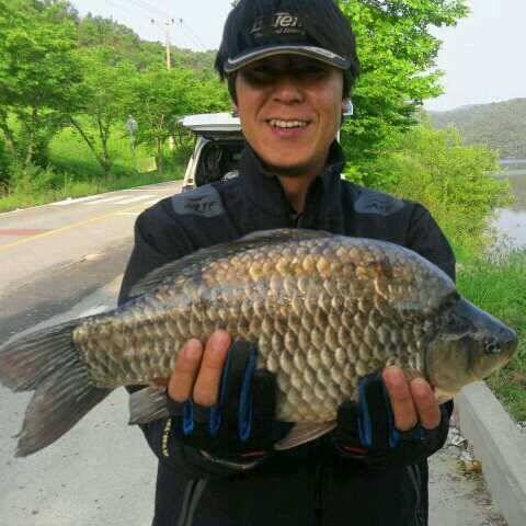 대형 혹부리 (조황조행기 - 월척컵토종붕어챔피언십)