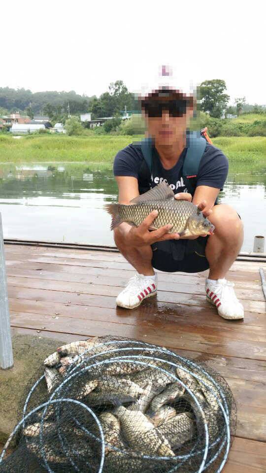 고삼지 35cm (조황조행기 - 월척컵토종붕어챔피언십)