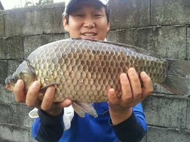 간만에4짜 (조황조행기 - 월척컵토종붕어챔피언십)