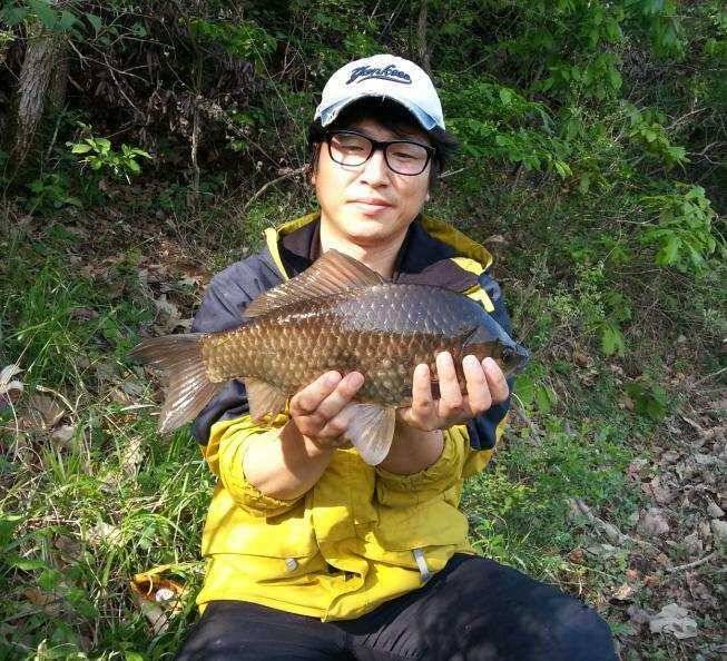 43 한마리 (조황조행기 - 월척컵토종붕어챔피언십)