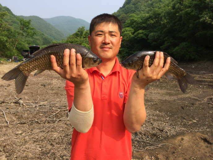 14년 12호 워리 (조황조행기 - 월척컵토종붕어챔피언십)