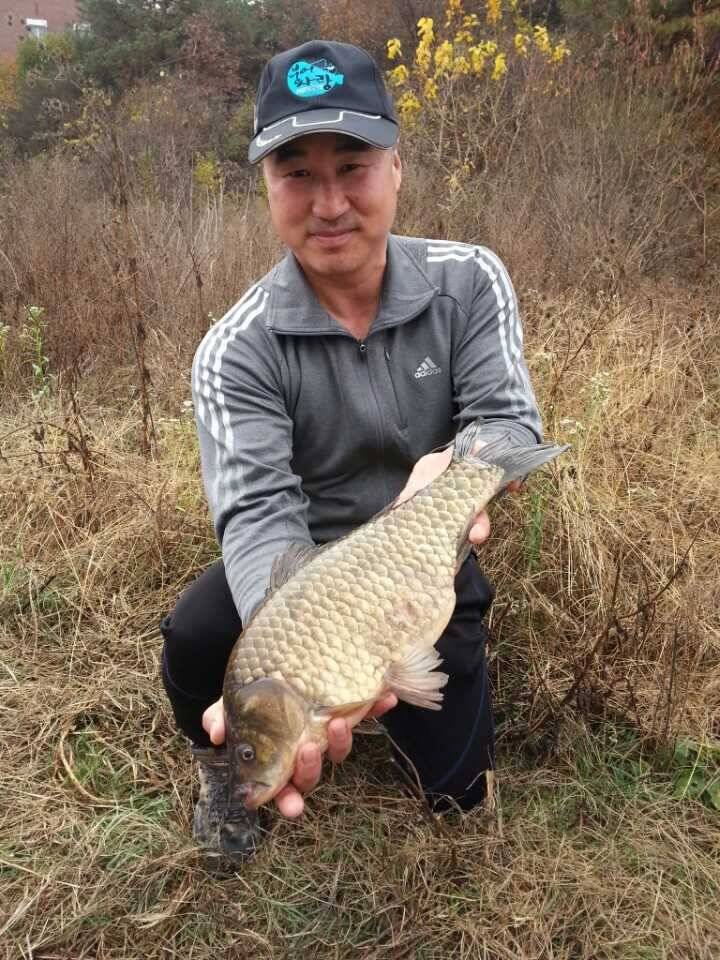 첫 사짜 입니다 (조황조행기 - 월척컵토종붕어챔피언십)