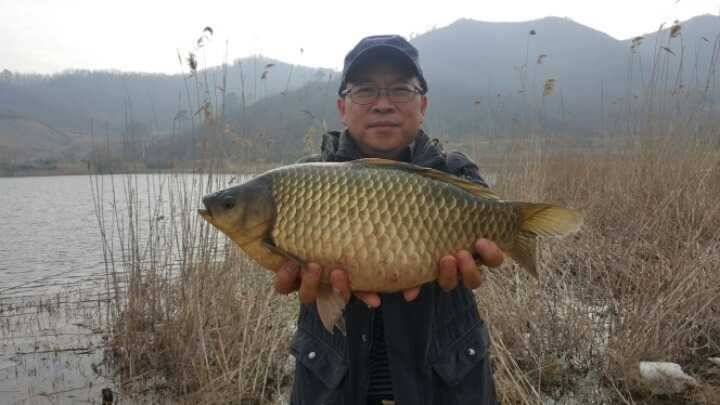 54cm 붕어 (조황조행기 - 월척컵토종붕어챔피언십)