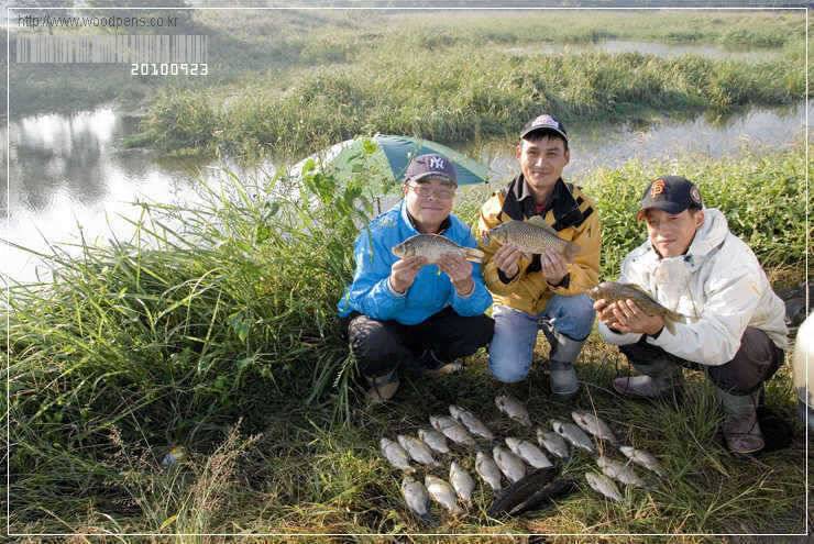 간만에 월척 신고 합니다 (조황조행기 - 월척컵토종붕어챔피언십)