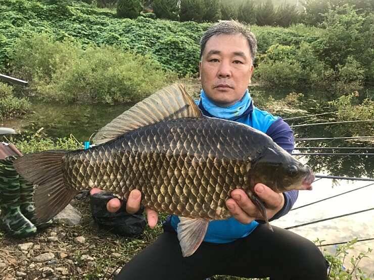 전라남도 담양군 (조황조행기 - 월척컵토종붕어챔피언십)