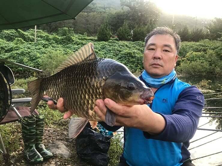 전라남도 담양군 (조황조행기 - 월척컵토종붕어챔피언십)