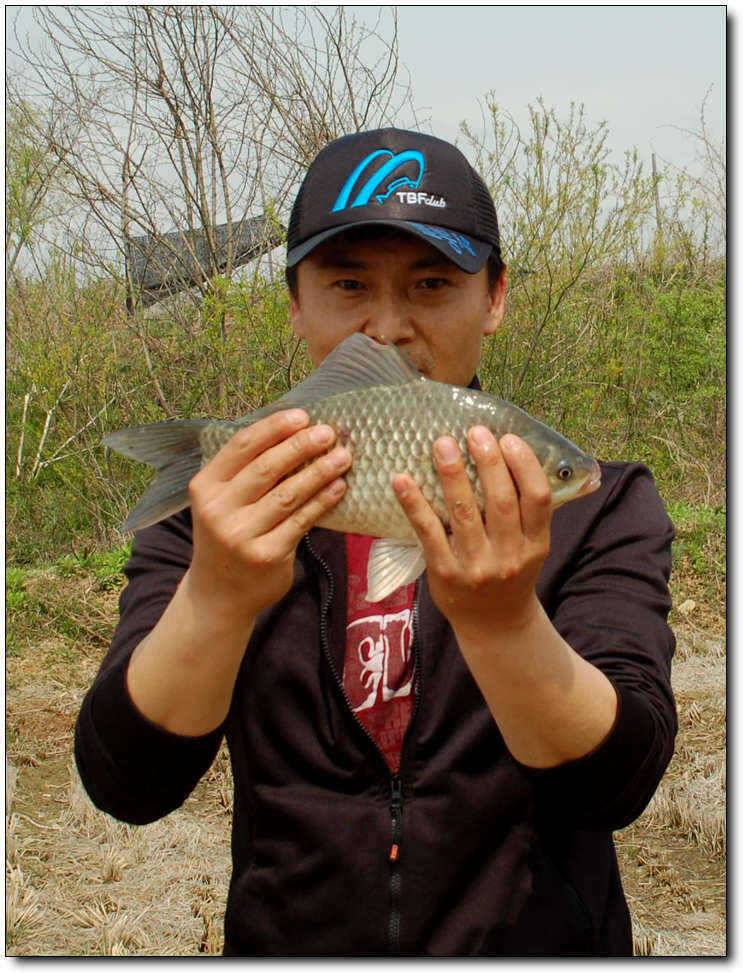 매화꽃 나무아래 그녀를 눕히다 (조황조행기 - 월척컵토종붕어챔피언십)