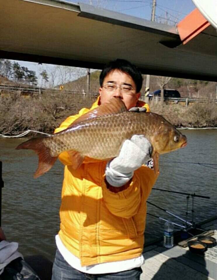 회원님들 감별좀 부탁드려요 ㅜㅜ (조황조행기 - 월척컵토종붕어챔피언십)