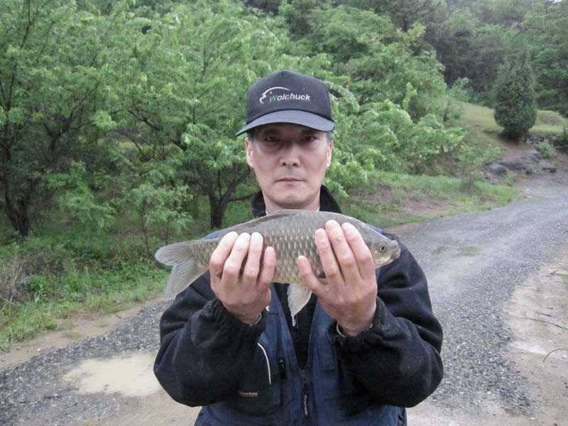 시즌 2호 월척 (조황조행기 - 월척컵토종붕어챔피언십)