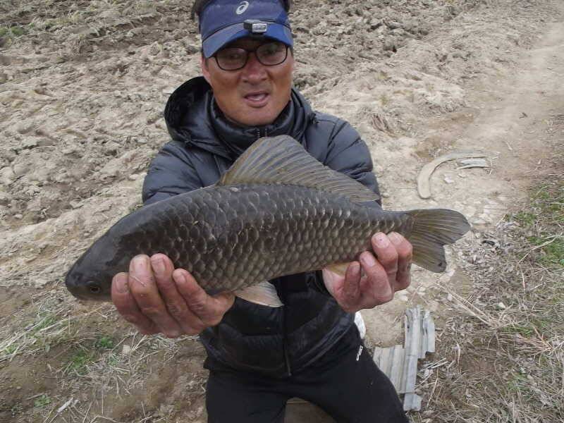 14시즌 2호 4짜 (조황조행기 - 월척컵토종붕어챔피언십)