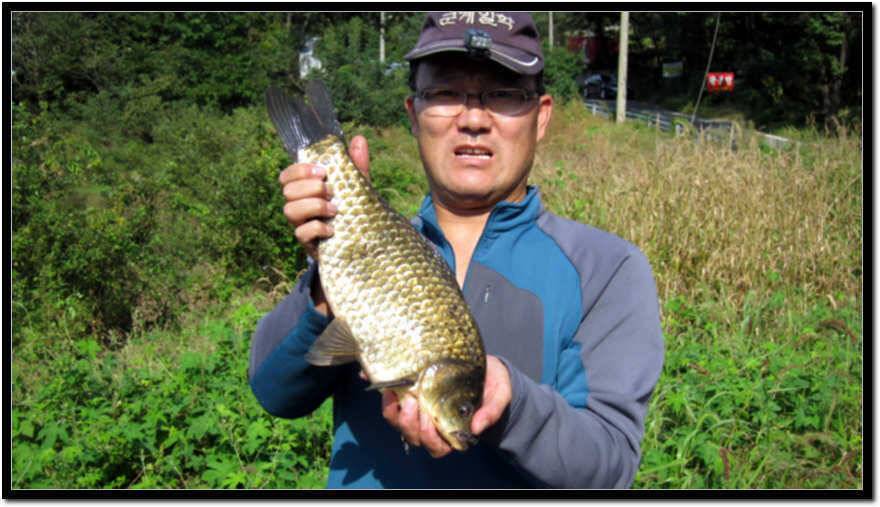 2년만에 기록경신 (조황조행기 - 월척컵토종붕어챔피언십)