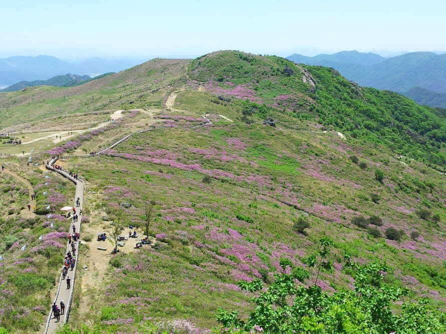 5짜는 꿈 (조황조행기 - 월척컵토종붕어챔피언십)