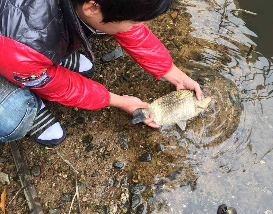 첫사짜를 만났습니다 (조황조행기 - 월척컵토종붕어챔피언십)