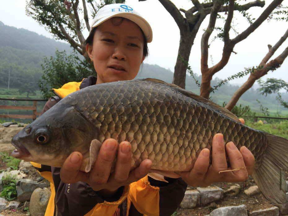 4짜 여조사님 (조황조행기 - 월척컵토종붕어챔피언십)