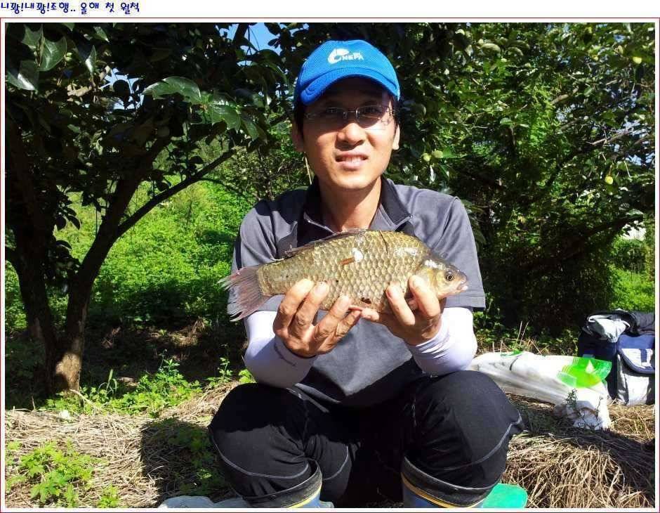 니꽝내꽝 조행첫 월척 33cm (조황조행기 - 월척컵토종붕어챔피언십)