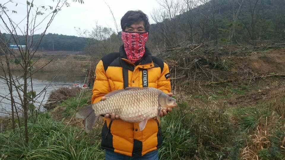 5짜 붕어 정확하게 532 (조황조행기 - 월척컵토종붕어챔피언십)