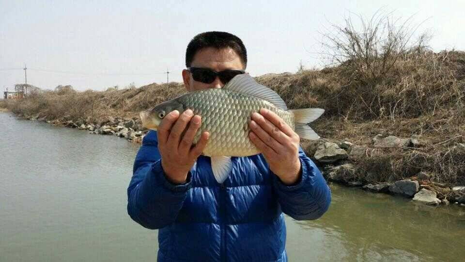2cm 부족한 사짜 (조황조행기 - 월척컵토종붕어챔피언십)