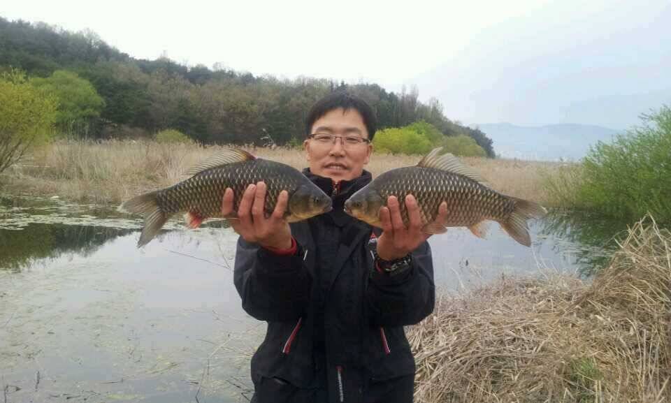 4짜붕어와 애기붕어 (조황조행기 - 월척컵토종붕어챔피언십)