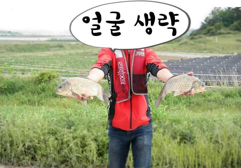 37 두마리 34한마리 32한마리 (조황조행기 - 월척컵토종붕어챔피언십)