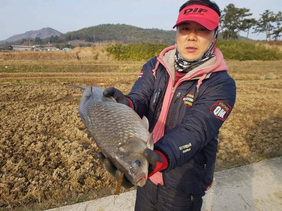 2019년 1호4짜 스타트 (조황조행기 - 월척컵토종붕어챔피언십)