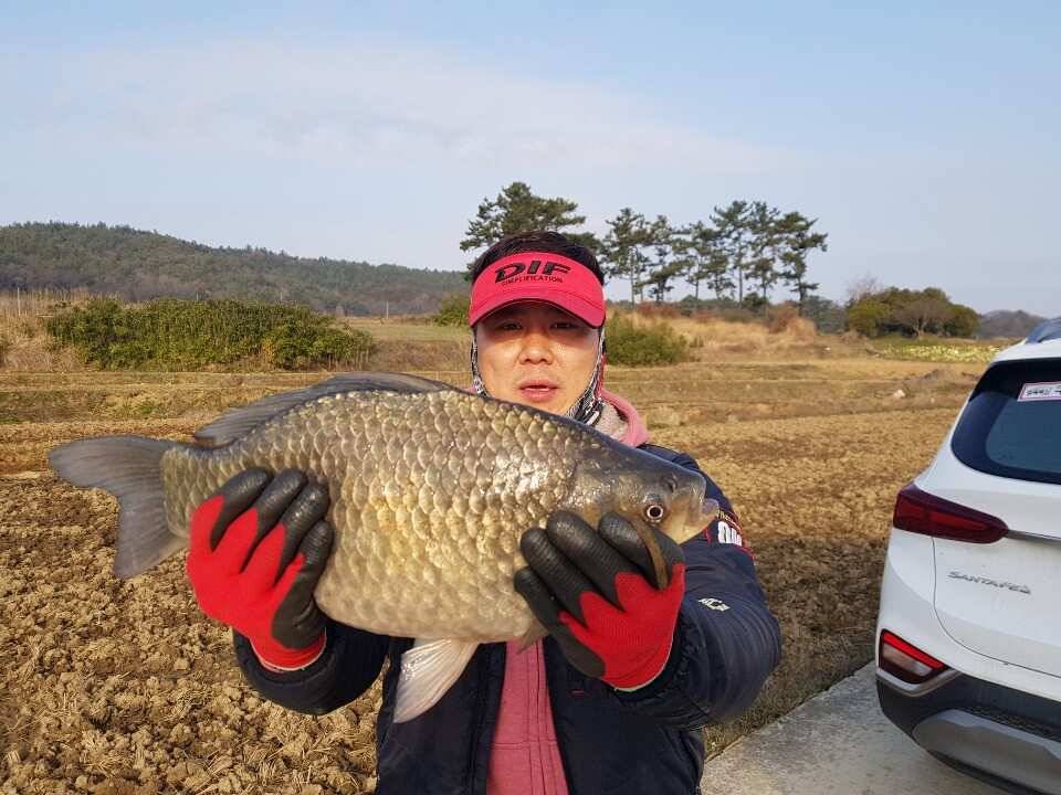 2019년 1호4짜 스타트 (조황조행기 - 월척컵토종붕어챔피언십)