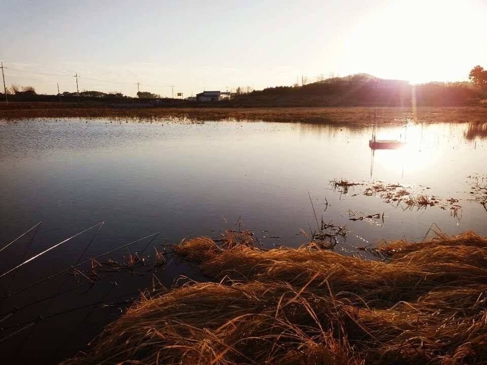 2018 첫 출발 좋네요 (조황조행기 - 월척컵토종붕어챔피언십)
