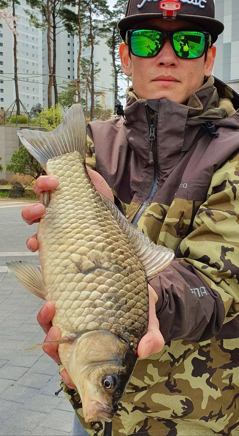낚시인생 첫 대물토종 38cm (조황조행기 - 월척컵토종붕어챔피언십)