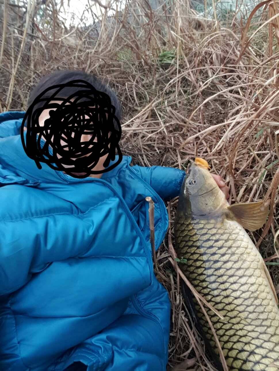 한번올려봅니다 (조황조행기 - 월척컵토종붕어챔피언십)