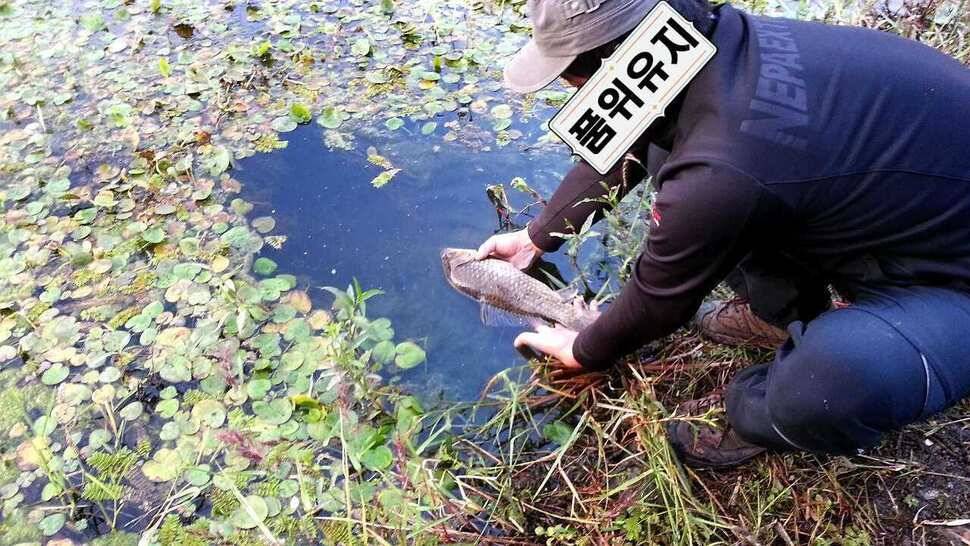 짬낚에 기록갱신 (조황조행기 - 월척컵토종붕어챔피언십)