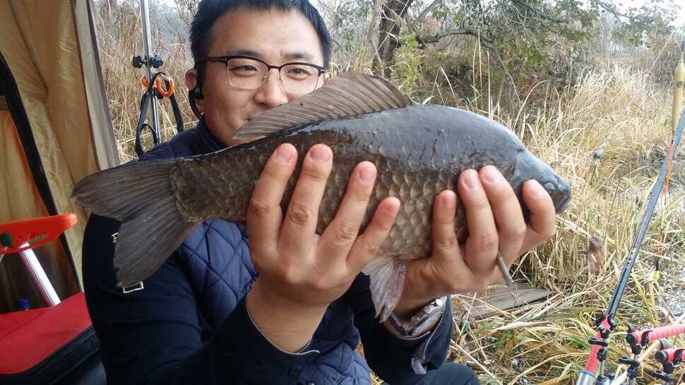 풍덩채비도 올립니다 (조황조행기 - 월척컵토종붕어챔피언십)